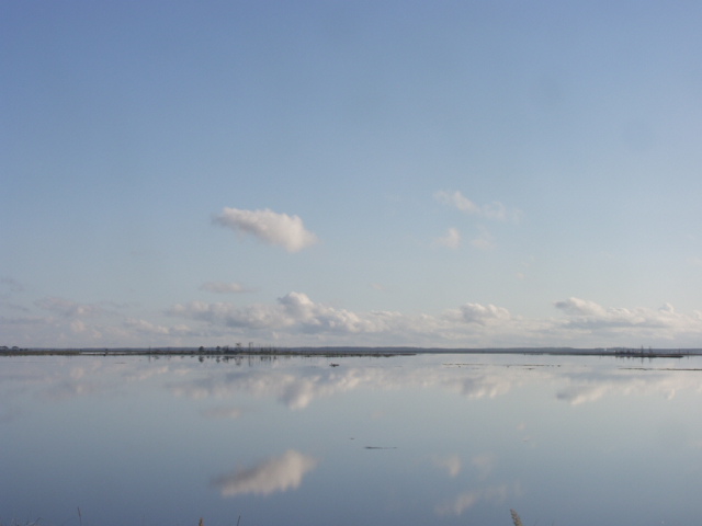 北海道野付半島